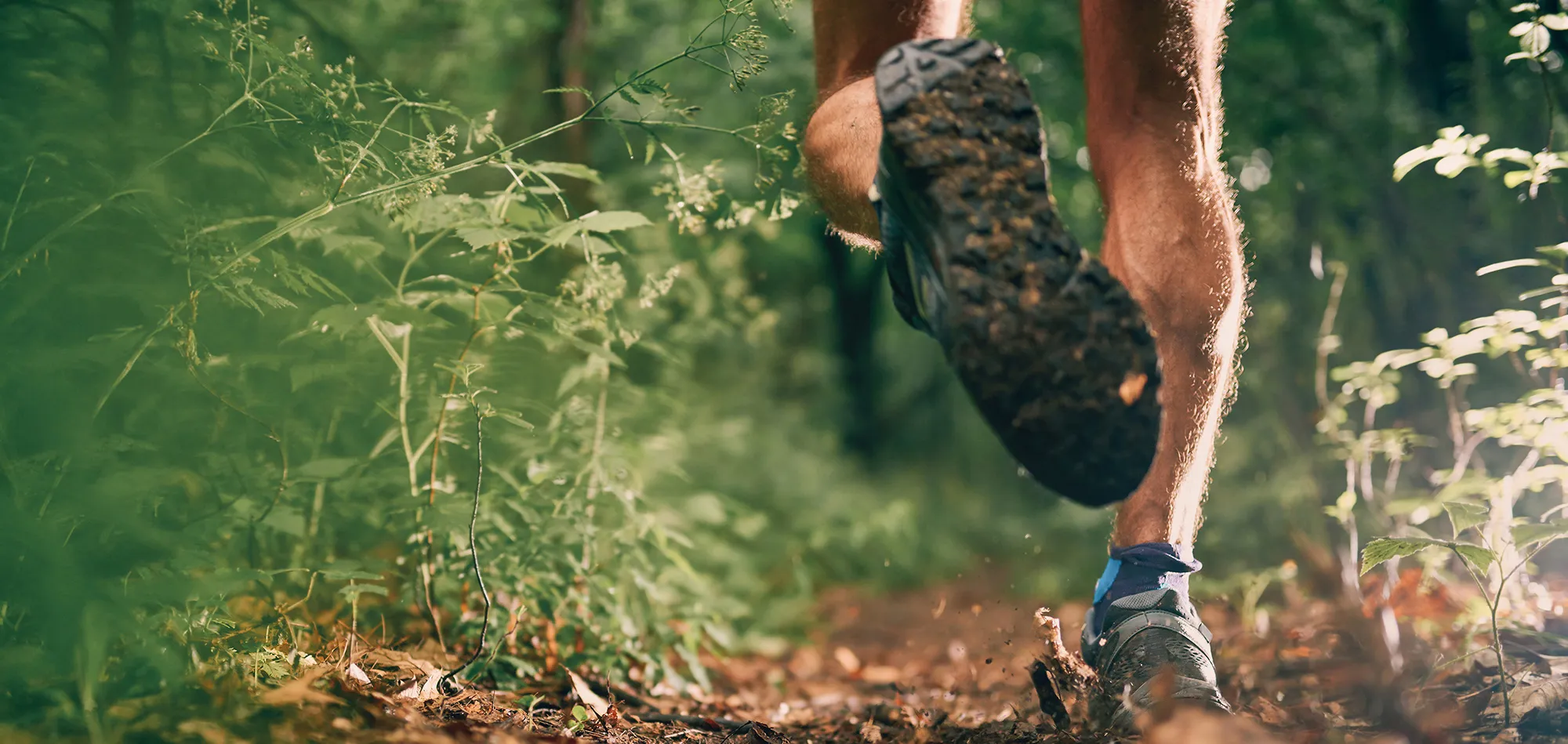Gros plan sur la chaussure d'un traileur en plein effort sur un sentier forestier.